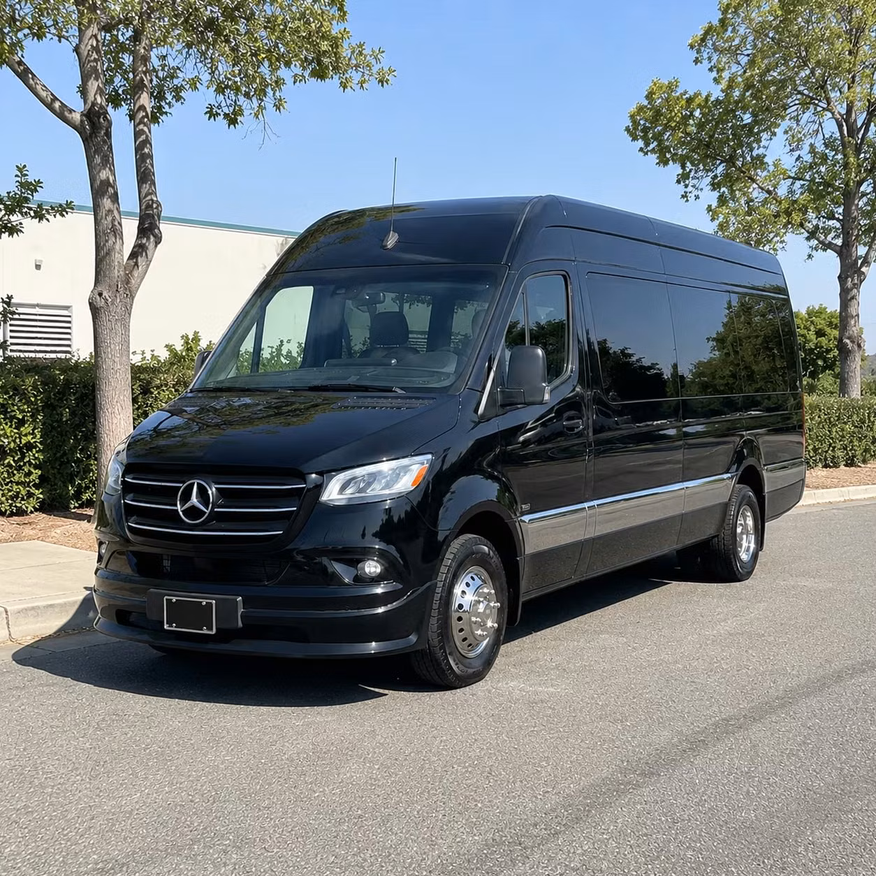 sprinter van with driver